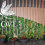 Ipoh The Cove Hillside Residence